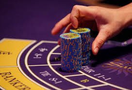 cici4d